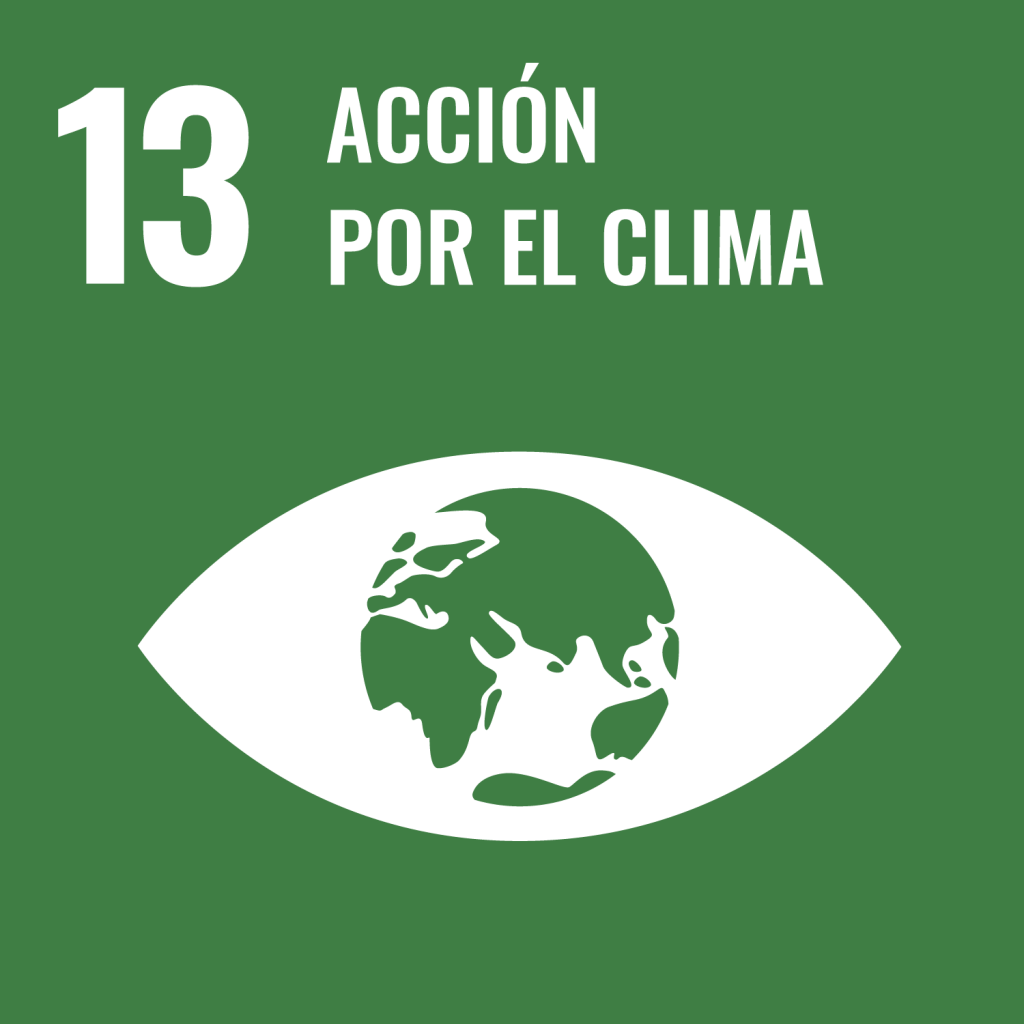 ODS | Acción por el clima