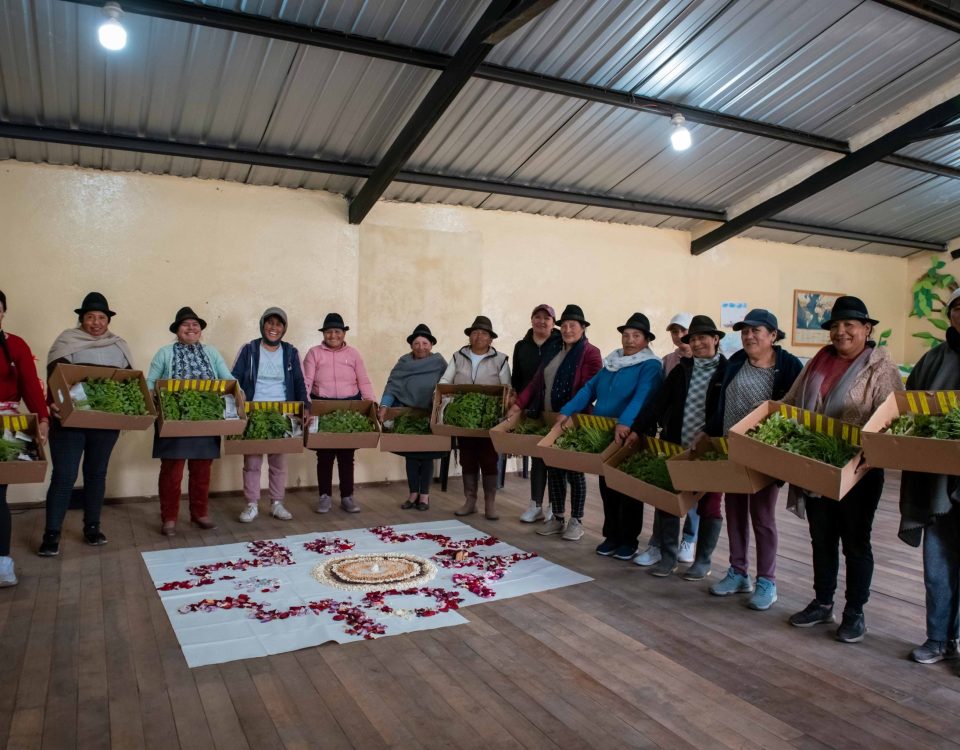 Cacpeco impulsa la agricultura familiar con acciones sostenibles en territorio 2 Agricultura familiar - Cacpeco 3